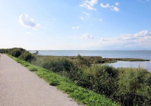Locazione Turistica Ofelia-2 in Lignano Sabbiadoro