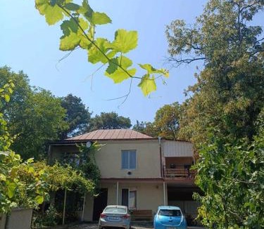 Mtskheta Apartment | GreenSilence