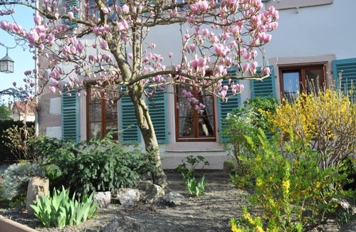 Old Town Apartment | HISTORIC CENTER, APARTMENT WITH GARDEN, PARKING SPACE outside the Christmas market season