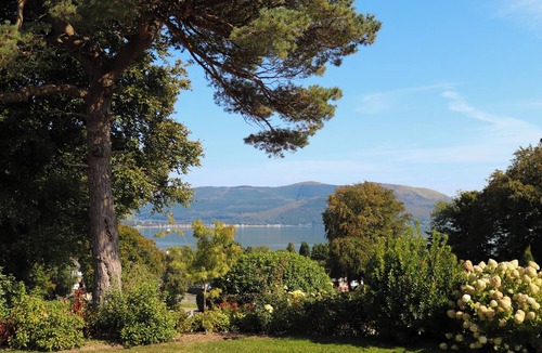 Omeath Cabin | Nucella Lodge and Coach House: A Charming Irish Retreat with Tranquility Ireland