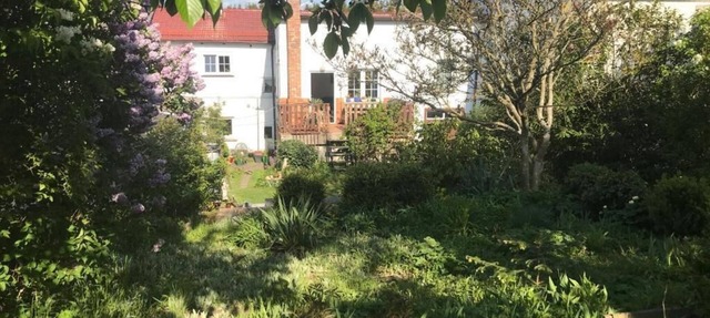Accommodation in Ilmenau for up to 7 people (with garden) in Ilmenau
