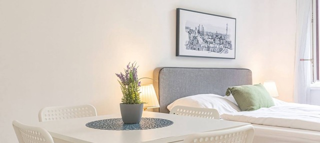 Attractive 2 BR Apt. near Vienna AKH Ideal for All in Vienna