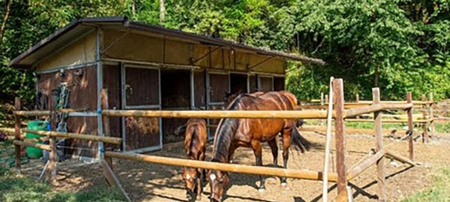 B&B in Valtrebbia in Emilia-Romagna