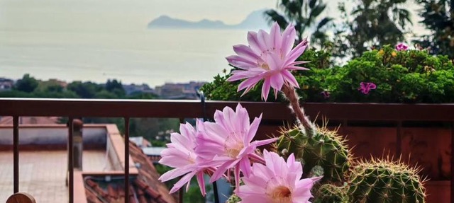 B&B Mareluce in Torre del Greco