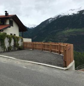 Birke in Silandro