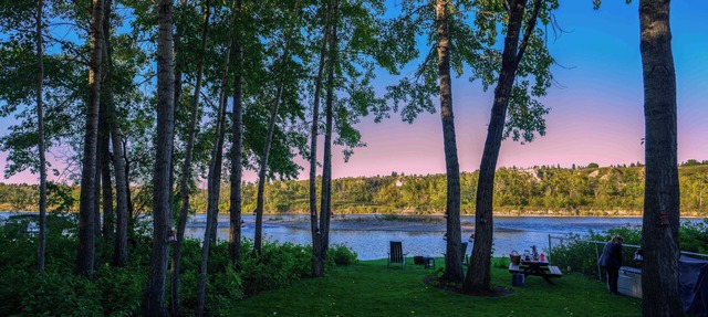 Bow River Oasis, Bowness, Calgary in Calgary