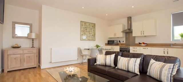 Central Basingstoke - Luxury 2 bedroom 2 bathroom apartment (double/double) in Basingstoke