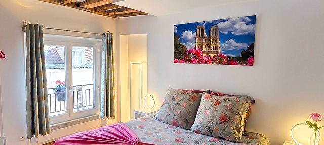 Charming 1820s Flat with Elevator & Queen size bed, near the Louvre in Paris