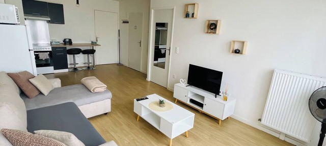 Cozy apartment near Paris Charles de Gaulle Airport Disneyland Parc Astérix RERB in Le Blanc-Mesnil