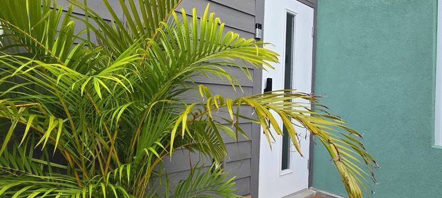 Cozy Studio - Centrally located near beaches, supermarkets and restaurants. in Bodden Town