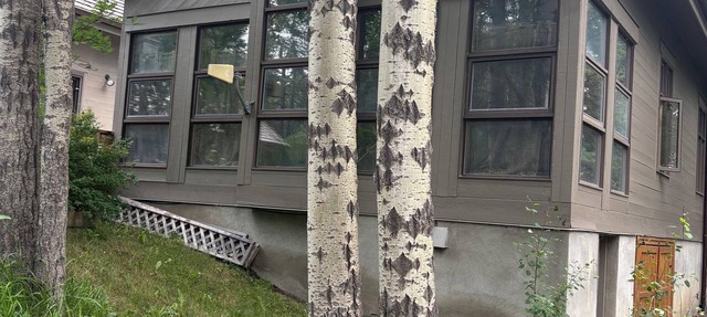 Cozy West Bragg Guest House in Bragg Creek
