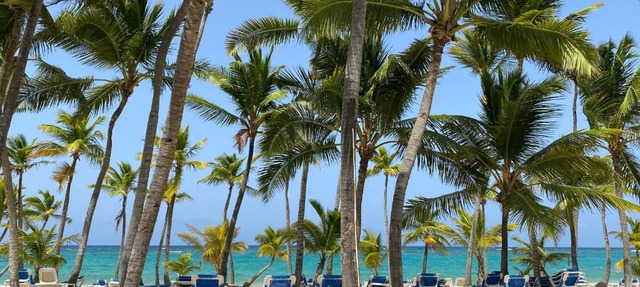 EXECUTIVE SUITES DUCASSI - ROOFTOP POOL and BEACH CLUB in Punta Cana