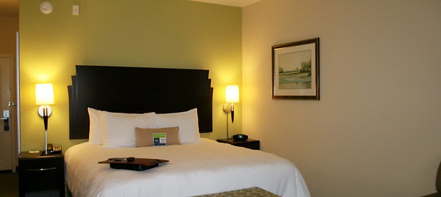 Hampton Inn Alpine in Alpine