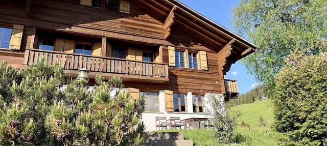 Hivernants Le Premier Appartement/Fewo, Dusche und Bad, WC 4-Bettwohnung by Interhome in Gstaad