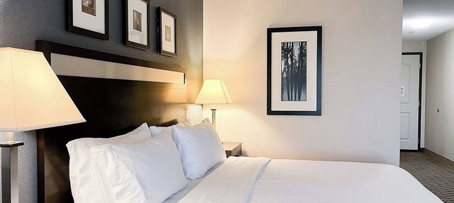 Holiday Inn Express & Suites Morton - Peoria Area by IHG in Morton