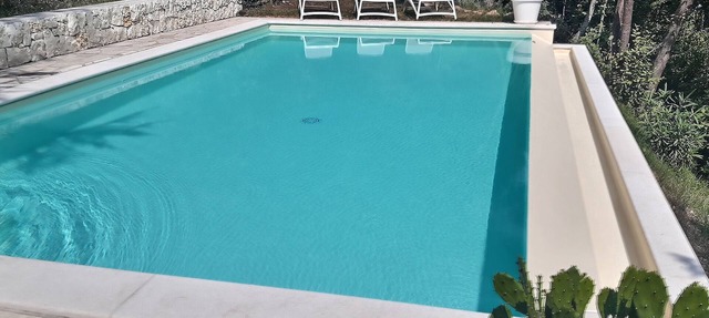 lakeview and modern saltwater pool in Pieve