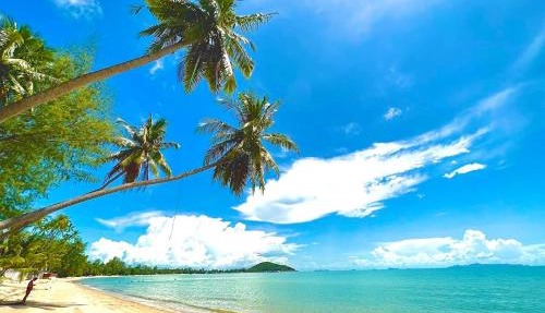 Lipa Lodge Beach Resort in Koh Samui