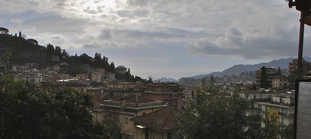 Mandorlo in Rapallo
