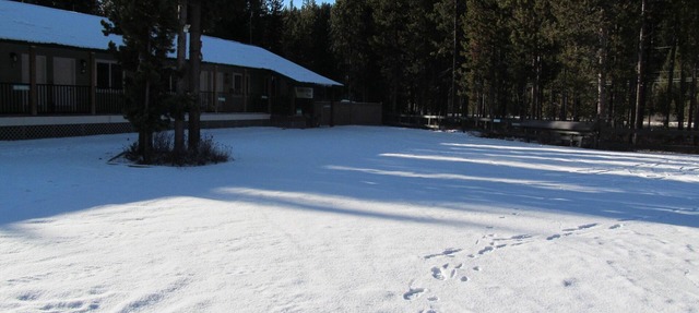 multiple suites avail. $189-219 per suite per night. contact host in Manning Park