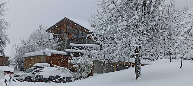 Nature Ski Lodge Sterwen 16pers Sauna Weekends Skibus Arc 1600 in Landry