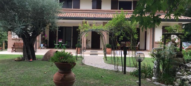 Picchio verde in San Giuseppe