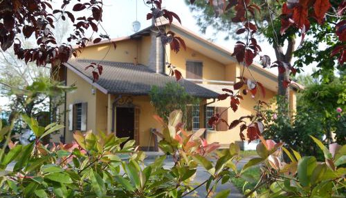 Pidkova in Modena