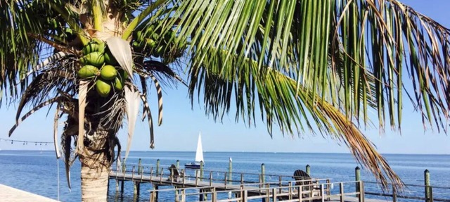Resort style Luxury condo on the waterfront with private patio overlooking bay. in St. Petersburg