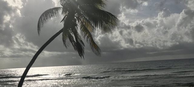 Southern Exposure, Secluded New Beach House on Cayman Brac! Divers delight! in Cayman Brac