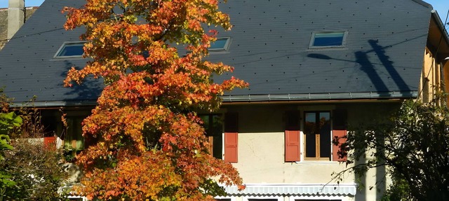 Studio "Le Cabanon 35 m²" with Mountain View in Doussard