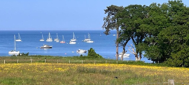 Studland View Cottage in Studland