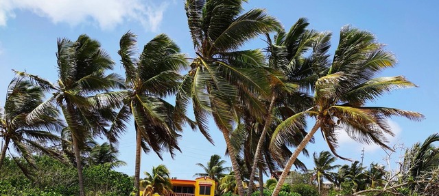 Stunning Beach Front House, beach door access 4BR in Vieques