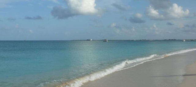 Sunset Cove Your Dream Vacation is Affordable on Seven Mile Beach Grand Cayman. in Seven Mile Beach