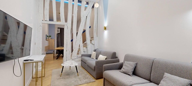 TBS 175 - Charming apartment in the heart of Paris in Paris