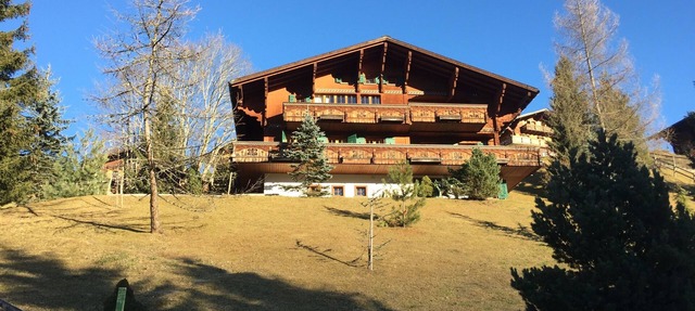 The Diablerets- Chalet Mamina in Ormont-Dessus