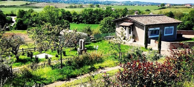 una casa immersa in 2 ettari di verde con piscina e zona wellness privata in Lazio