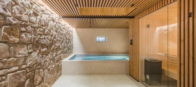 Villa 9 - Spa - Piscine - Sauna in Colmar