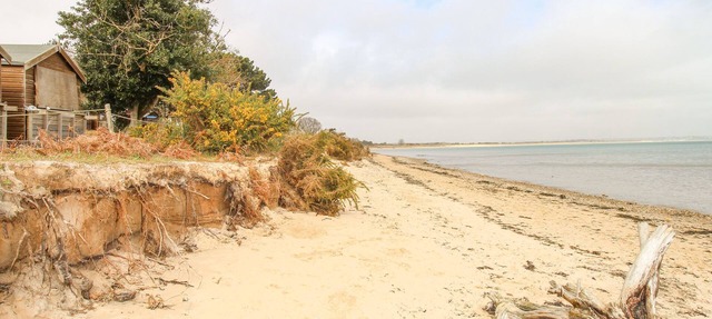 VINE COTTAGE, pet friendly, character holiday cottage in Studland in Studland