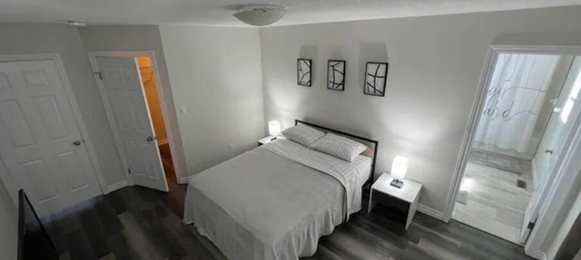 Waterloo Modern Rustic Haven in Waterloo