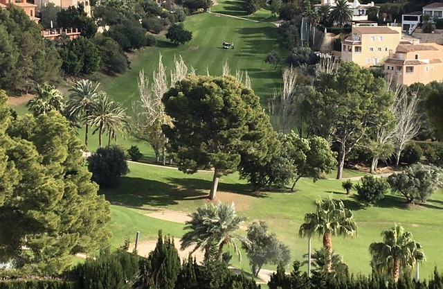 Bernia Golf 
