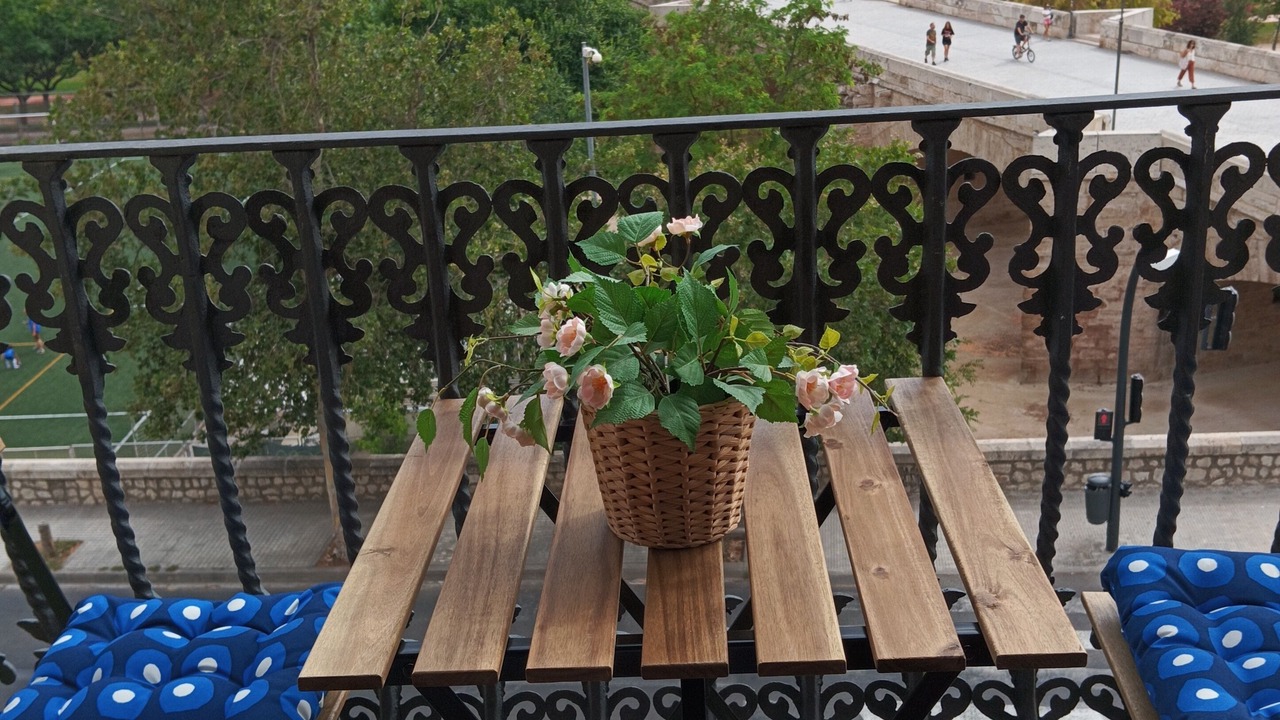 Photo of Outdoor in Morvedre