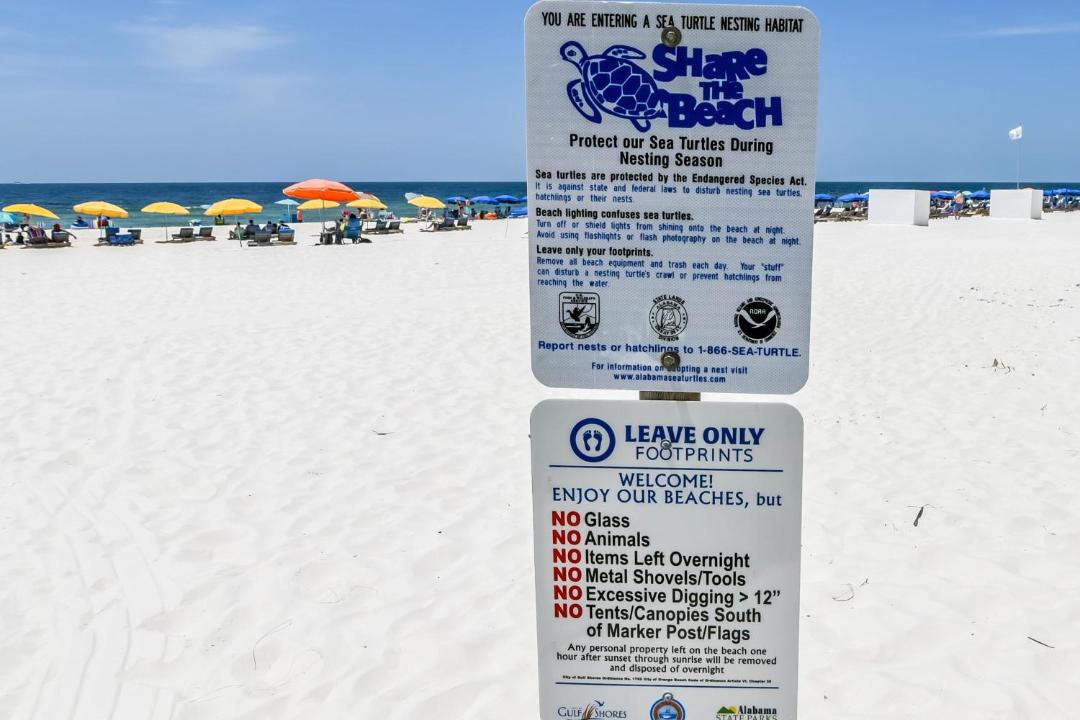 Photo of Others in Orange Beach