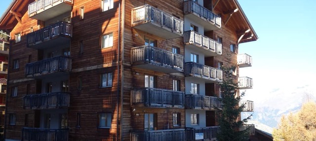 Pleasant Apartment With Sauna in Nendaz